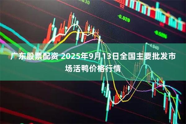 广东股票配资 2025年9月13日全国主要批发市场活鸭价格行情