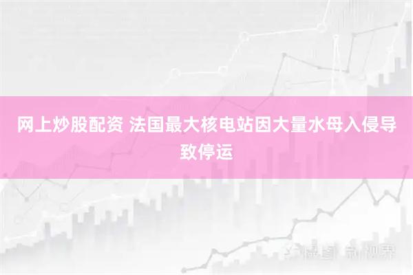 网上炒股配资 法国最大核电站因大量水母入侵导致停运